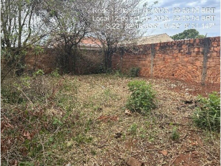 Imagem leilão