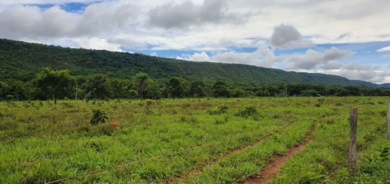 IMÓVEL RURAL COM ÁREA DE 1.899,2700HAS, "FAZENDA VALENT.. em Rosário Oeste/MT - foto 13