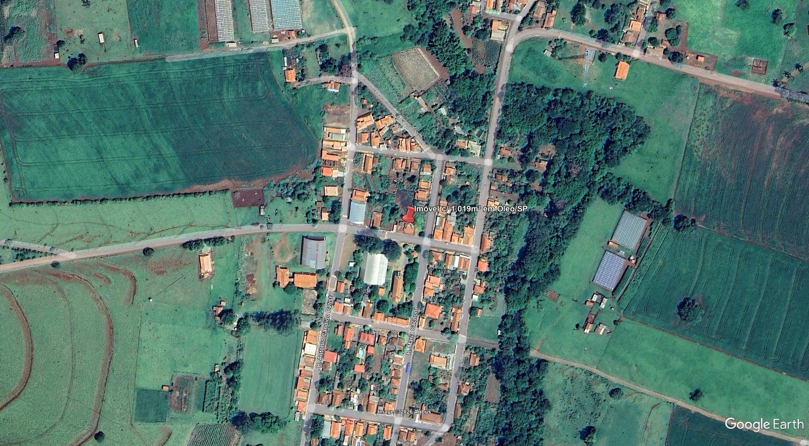 Imagem leilão
