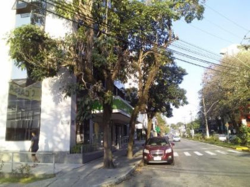 Imagem leilão