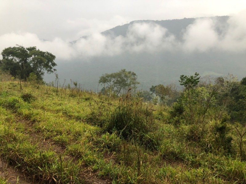 A FRAÇÃO IDEAL DE 50% (128.750,00M²) SOBRE O LOTE RURAL.. em Erval Grande/RS - foto 12