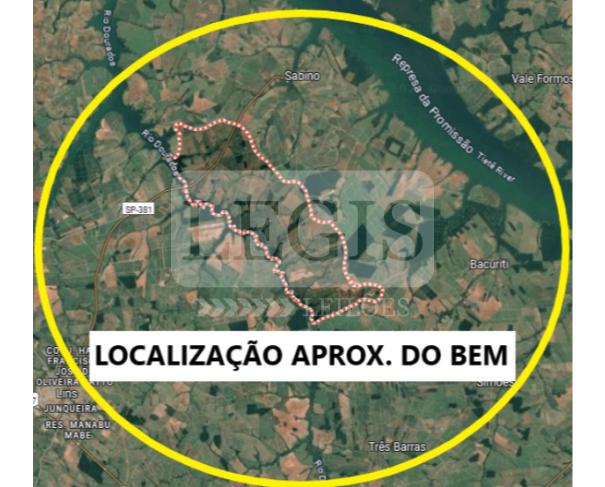 Imagem leilão