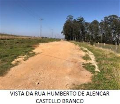 Imagem leilão
