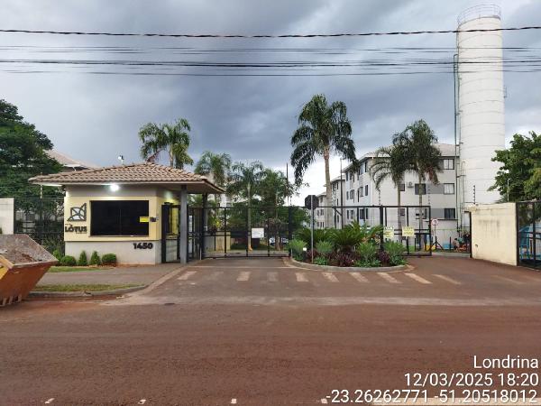 Imagem leilão