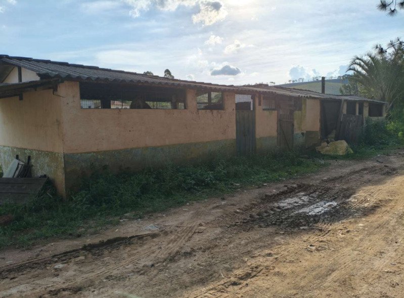 FAZENDA HAVAÍ COM ÁREA DE 33,7590 HA, COM GALPÃO E ESCR.. em Cristiano Otoni/MG - foto 10