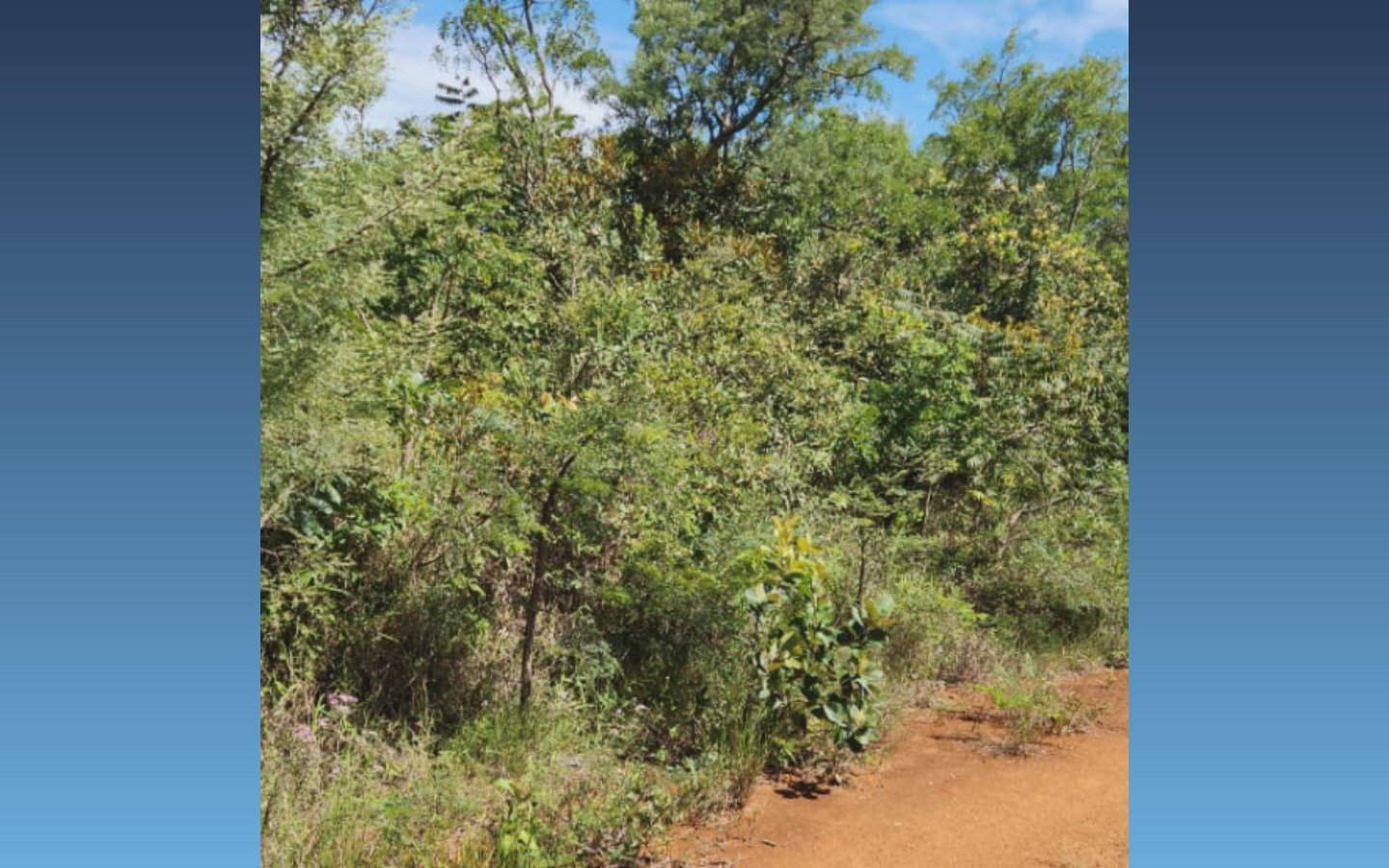 Terreno de 560m² — Boa Esperança/MG em Boa Esperança/MG - foto 2