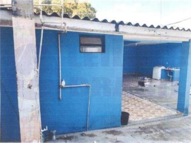 Imagem leilão