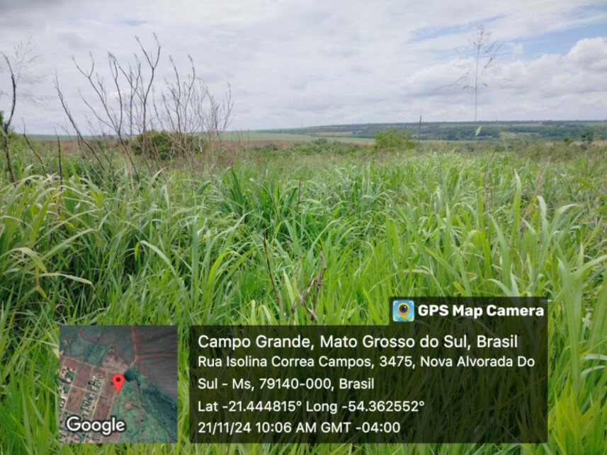 Imagem leilão