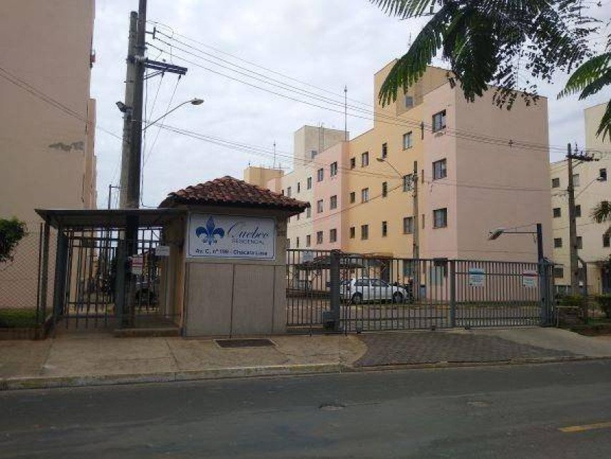 Imagem leilão