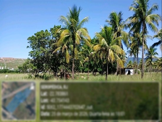 Imagem leilão