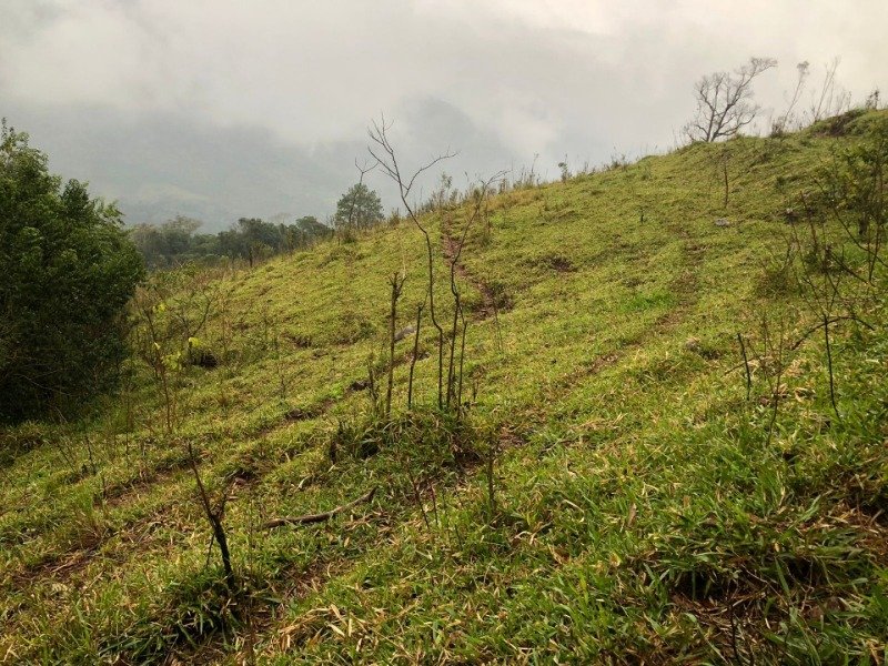 A FRAÇÃO IDEAL DE 50% (128.750,00M²) SOBRE O LOTE RURAL.. em Erval Grande/RS - foto 6