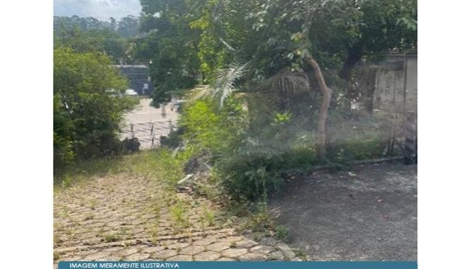 Imagem leilão