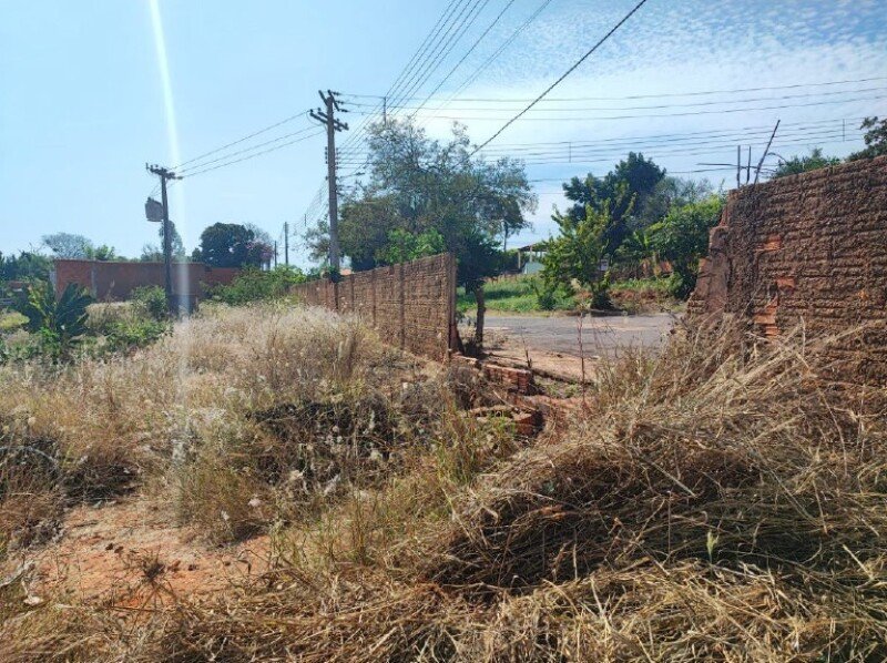 Imagem leilão