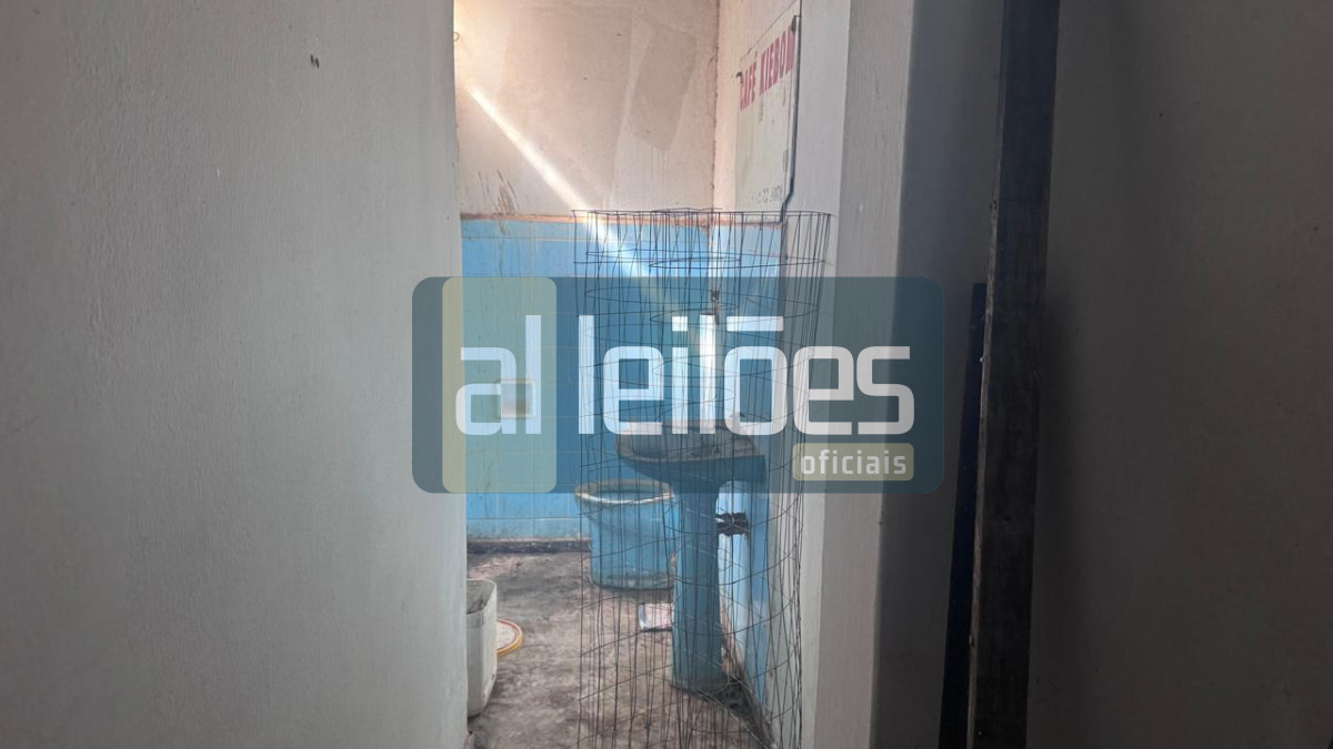 Imagem leilão