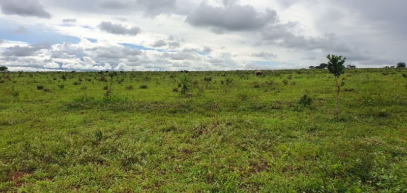 IMÓVEL RURAL COM ÁREA DE 1.899,2700HAS, "FAZENDA VALENT.. em Rosário Oeste/MT - foto 5
