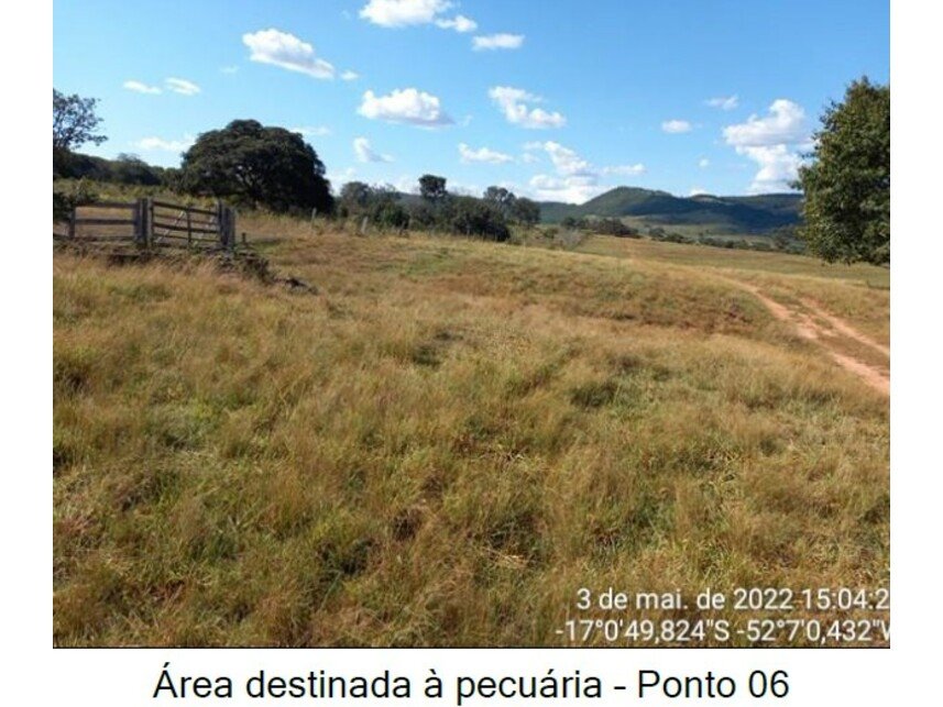 Imagem leilão