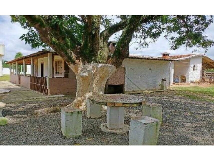 Imagem leilão