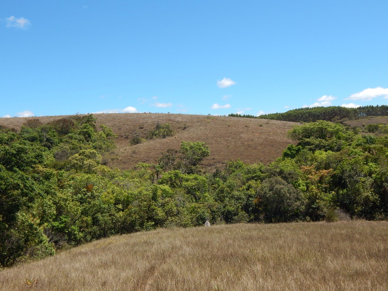 FAZENDA CAMPINAS APROXIMADAMENTE 90HA EM CRUZÍLIA /MG em Cruzília/MG - foto 12