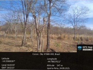 FAZENDA RIO VERDE - COCOS / BA em Cocos/BA - foto 2