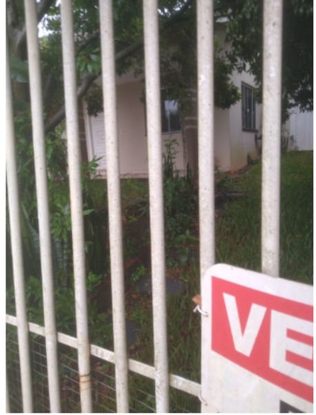 Imagem leilão
