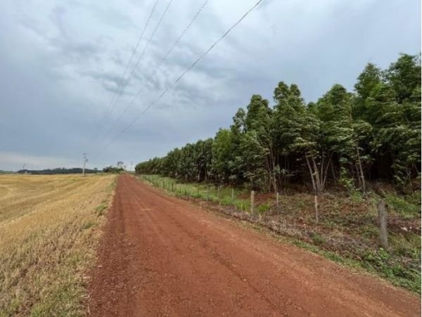 LOTE ÚNICO - VENDA DIRETA DE LOTE RURAL, COM ÁREA DE 124.233,00M², LOCALIZADO NO B. 5° POL em Medianeira/PR - foto 2