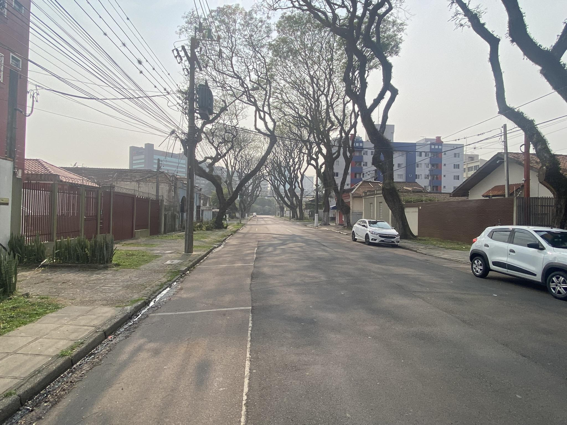 Imagem leilão