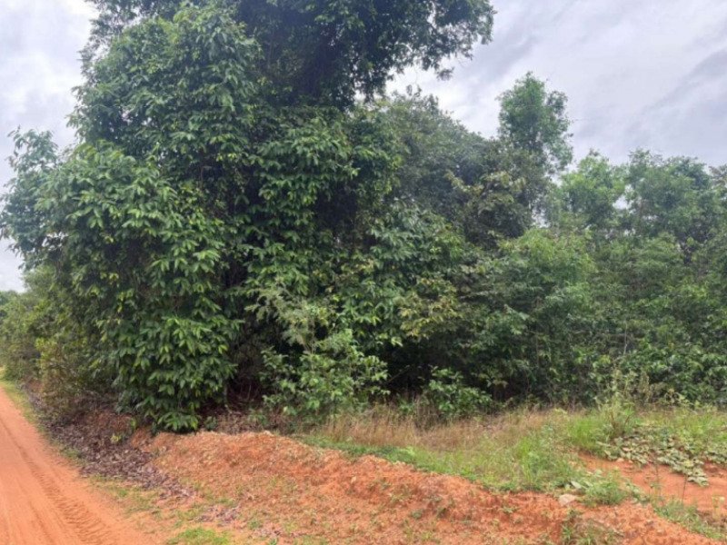 Fazenda, Rural, Rural em Bom Jardim de Goiás/GO - foto 5