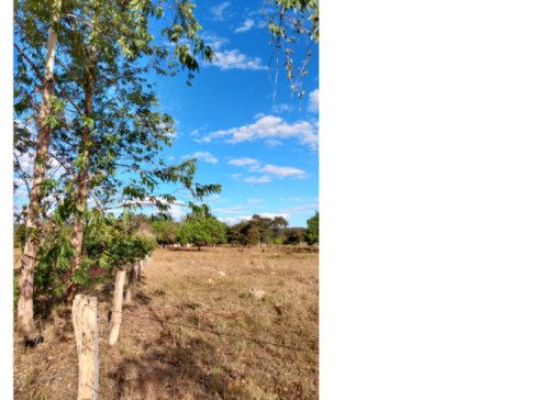 FAZENDA DOIS IRMÃOS MEDINDO 13,96 ALQUEIRES EM COLMÉIA, TOCANTINS em Colméia/TO - foto 15