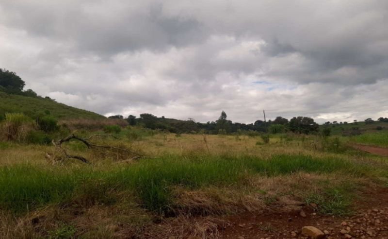 matrícula nº 8.429 em Campo Erê/SC - foto 5