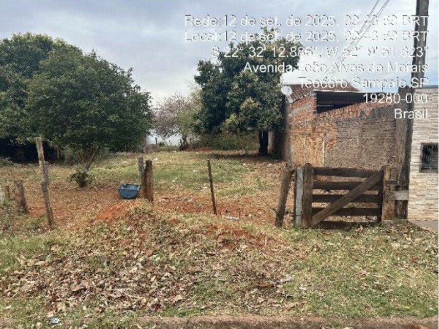 Imagem leilão