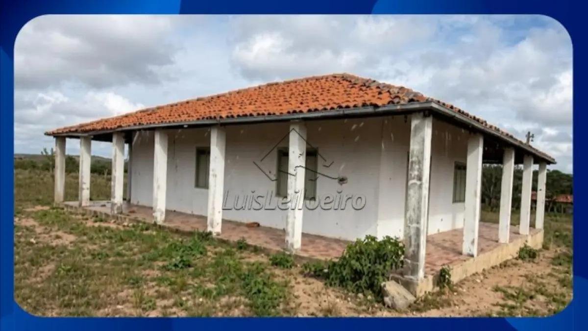 FAZENDA - Denominada Pitombeira (atualmente conhecida como Fazenda Venturosa), situada na em Santa Brígida/BA