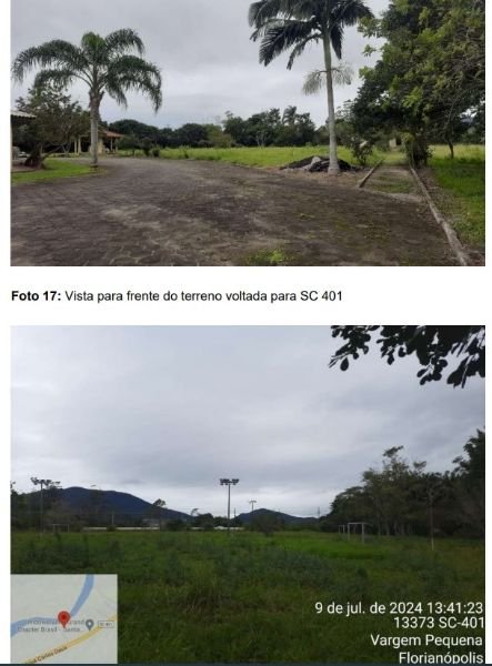 Imagem leilão