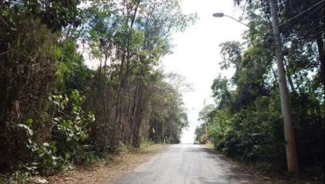 Imagem leilão