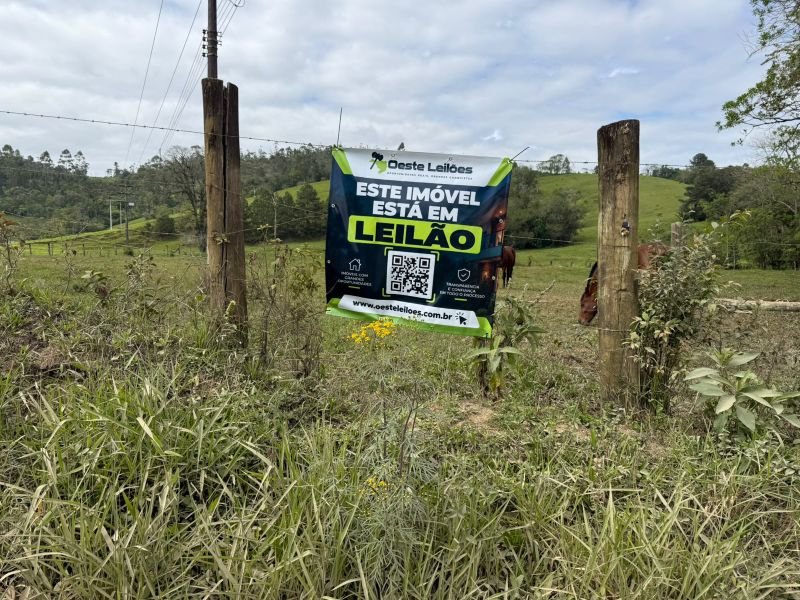 Imagem leilão
