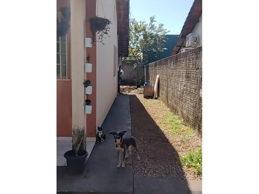 Casa à venda em leilão - Rua Pitomba, 2893-S - Jardim Cerrado - Lucas do Rio Verde / MT em Lucas do Rio Verde/MT - foto 4