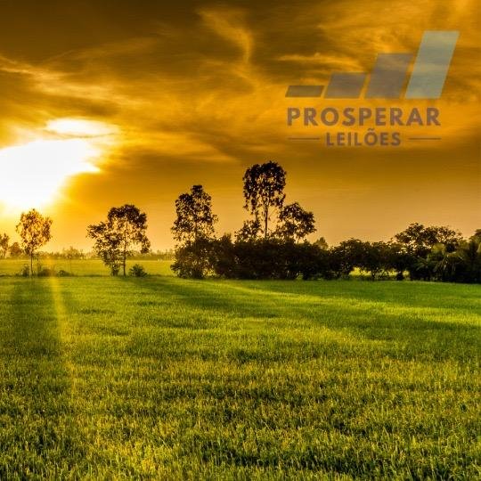 Imagem leilão