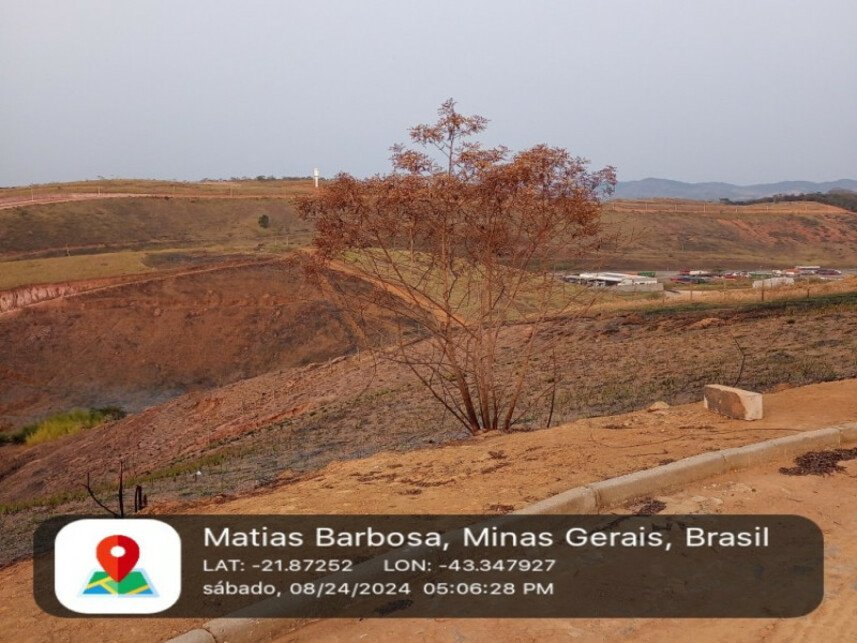Imagem leilão