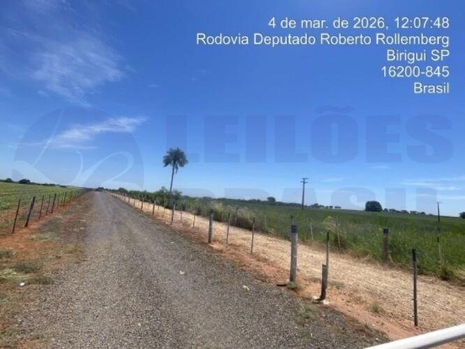 Imagem leilão