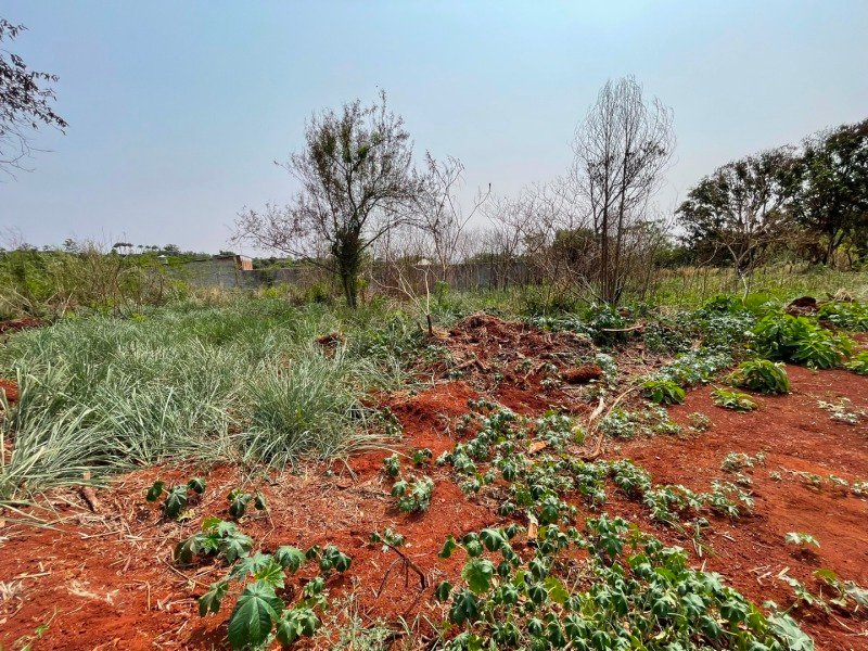 LOTE GLOBAL em Sarandi/PR - foto 15