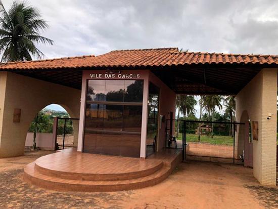 Imagem leilão