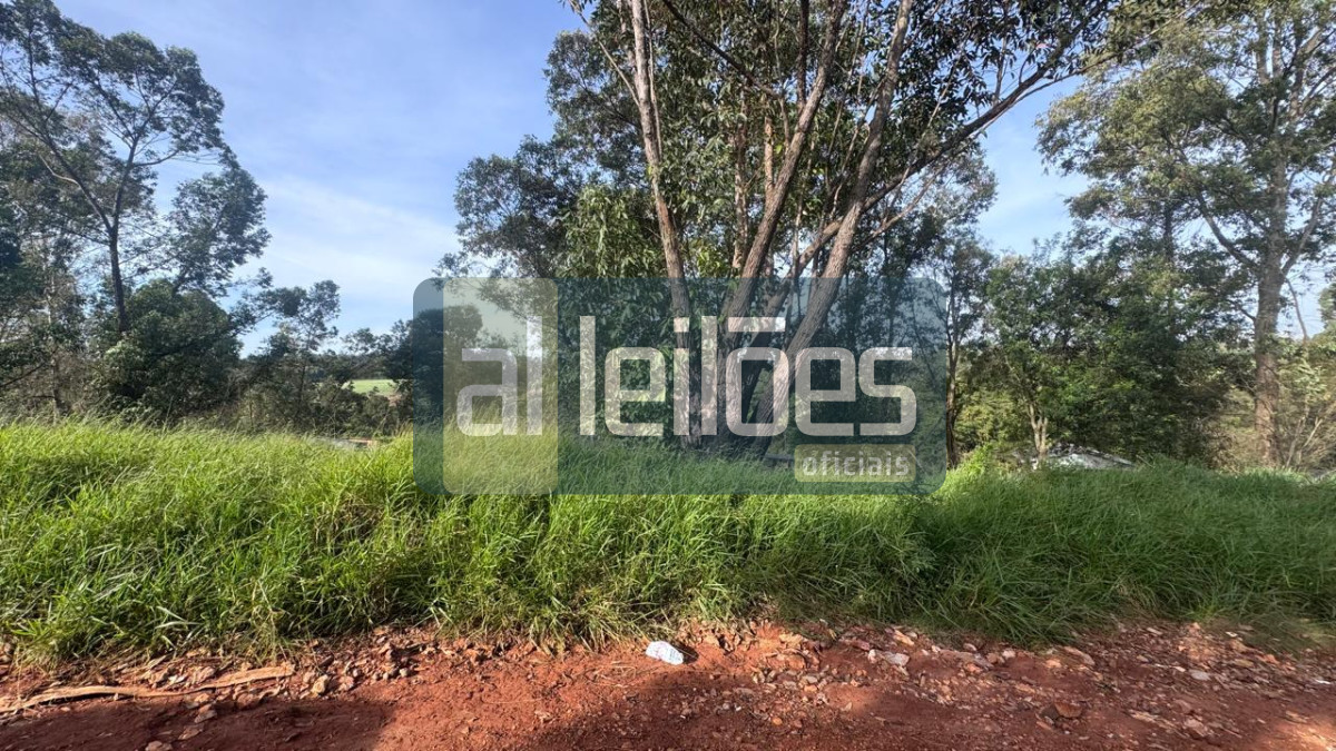 Imagem leilão