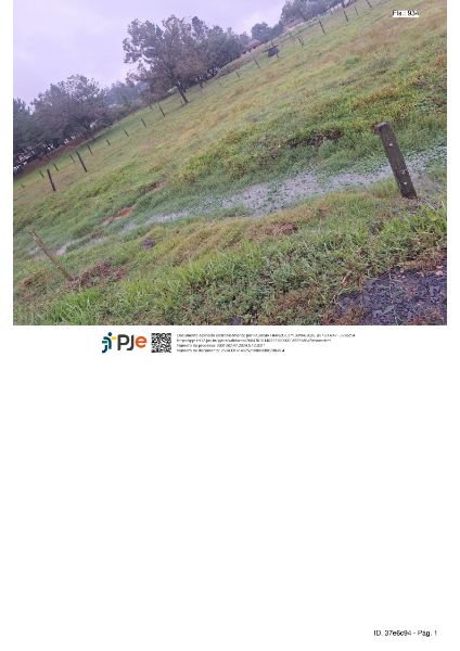 Imagem leilão