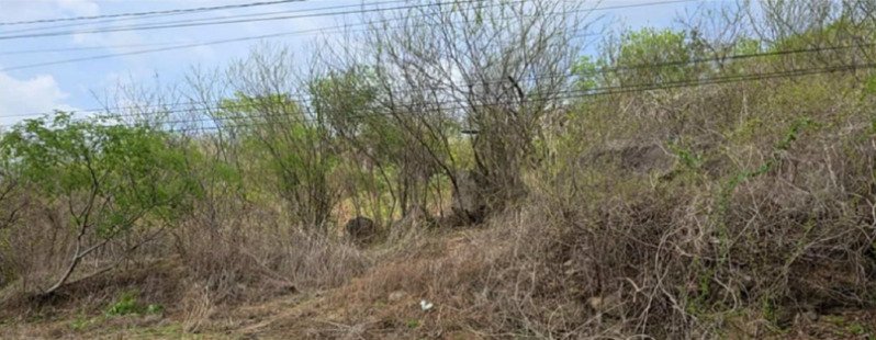 CEARÁ - ITAPAJÉ/CE - ÁREA RURAL/FAZENDA em Itapagé/CE - foto 3