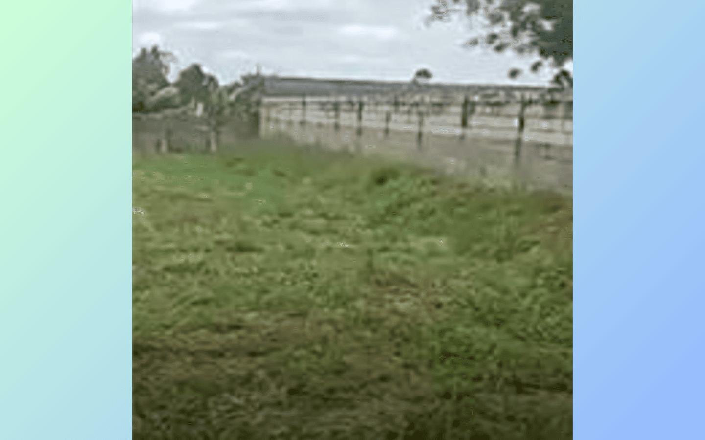 3 Terrenos Urb 2500m² cada Brasília/DF em Brasília/DF - foto 5
