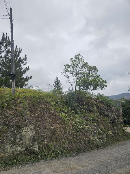 Imagem leilão