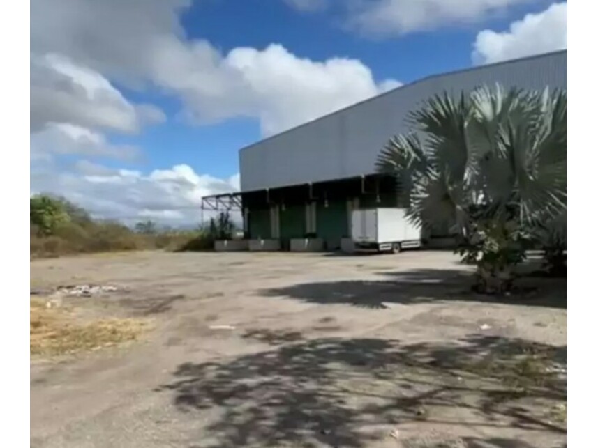 Imagem leilão