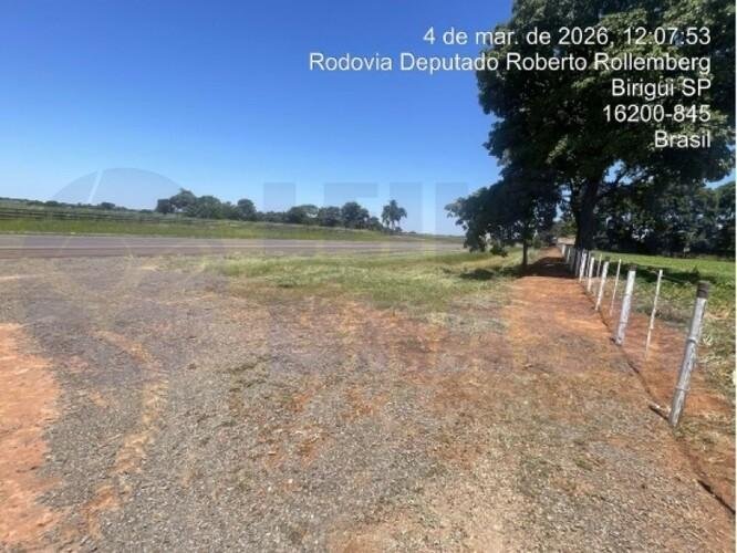 Imagem leilão
