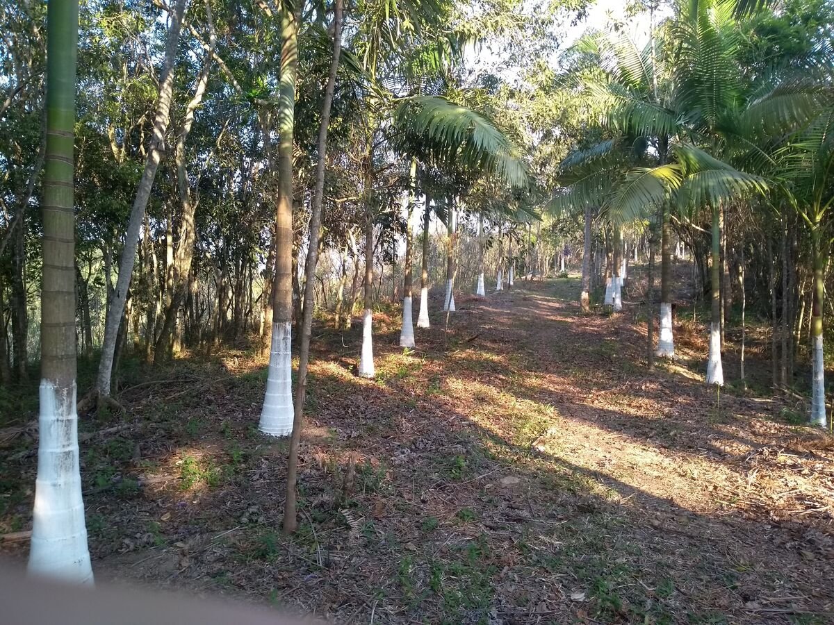 IMOVEL RURAL SITIO AREA TOTAL DE 285.000M2 NO MUNICÍPIO DE GRAVATAL/SC em Gravatal/SC
