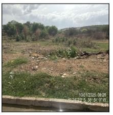 Terreno, 0.00 de área total, 0.00 de área privativa, 1200.00 de área do terreno. em Icó/CE