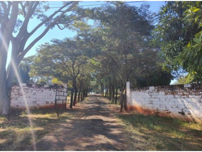 Imagem leilão